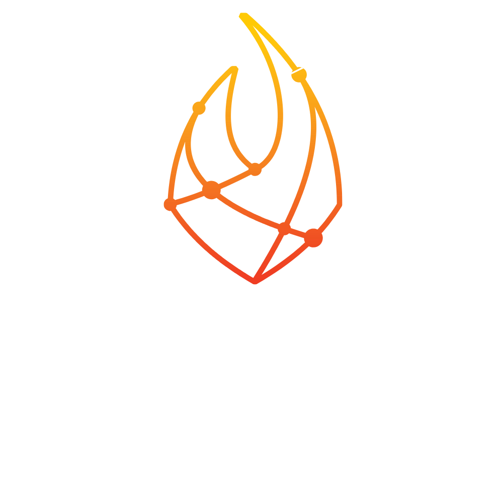 Ignis Agency | Solutions Informatiques sur Mesure